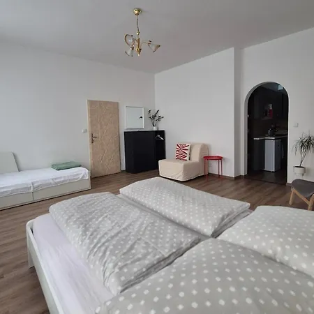 Klidny V Rodinnem Dome V Blizkosti Centra Lägenhet